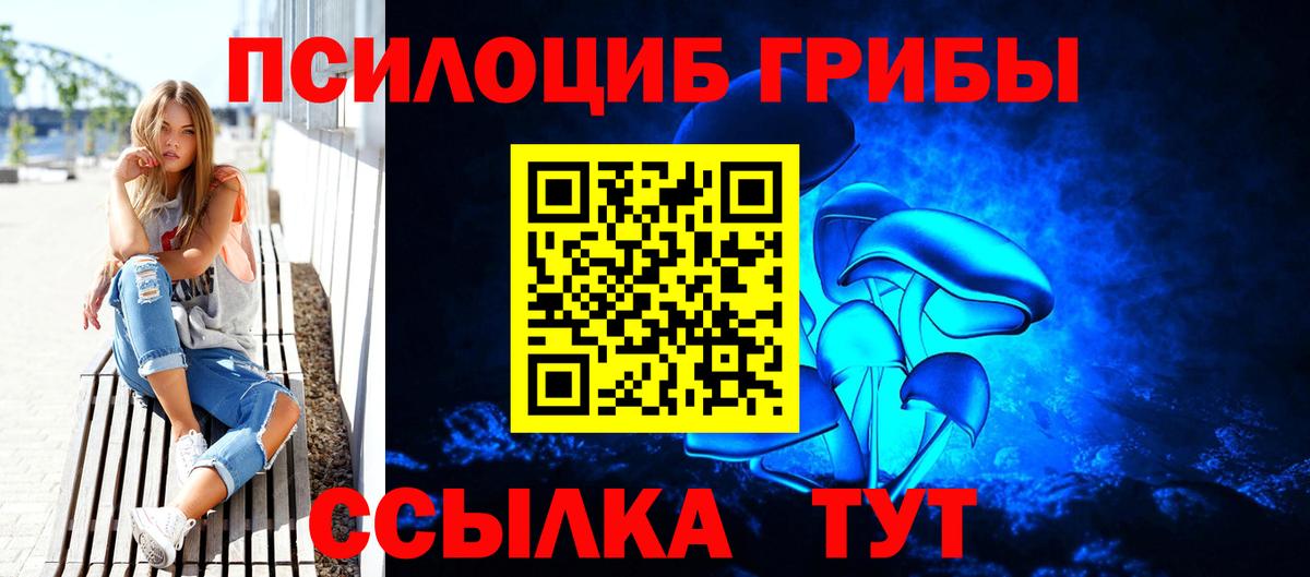 Псилоцибиновые грибы Psilocybe  Псилоцибиновые грибы мицелий  Вход с VPN  Пугачёв 