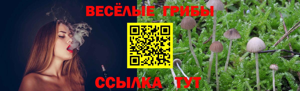 Псилоцибиновые грибы прущие грибы Пугачёв